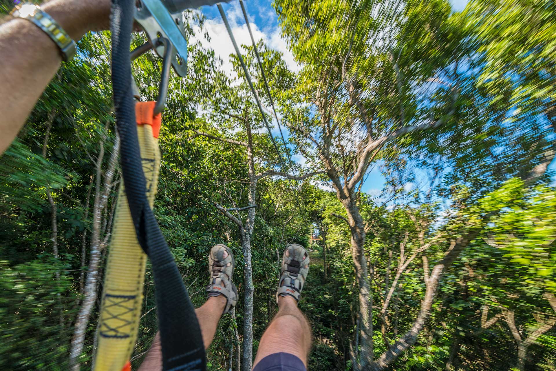 Person zipping through the rainforest canopy at high speeds.