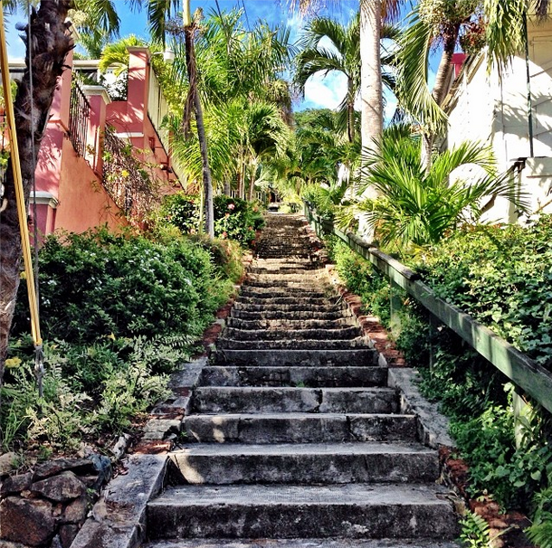 Shot of the 99 stairs to Bluebeards castle located in St. Thomas, USVI.